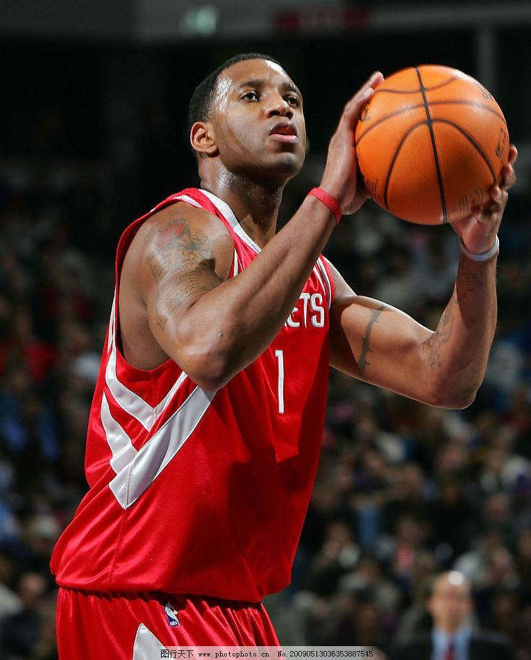 2009 自由市场：马特·哈勒戴加盟红雀，与普荷斯组建恐怖连线